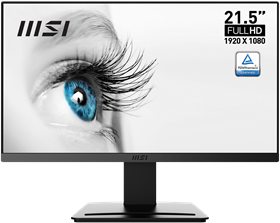 MSI LCD MP223 21.45