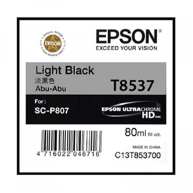 Mực in Epson T853700 Light Black Toner Cartridge (C13T853700)