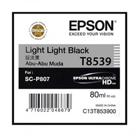 Mực in Epson T853900 Light Light Black Toner Cartridge (C13T853900)