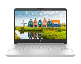 Laptop HP 14s-dq1100TU 193U0PA