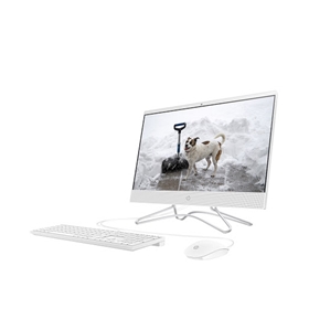 Máy tính để bàn HP All In One 22-df1021d (4B6D9PA)