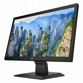 Màn hình HP V20 HD+ (1H849AA)