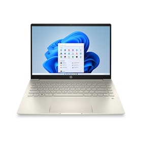 Máy tính xách tay HP Pavilion 14-dv2051TU
