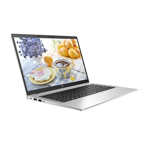 Máy tính xách tay HP ProBook 635 Aero G8-46J48PA